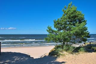 Weekend w Trójmieście i na Pomorzu to nie tylko plaża i morze. Takie perełki skrywają się nad morzem! 