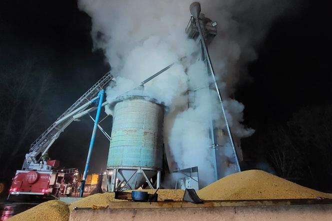 Lubelskie: Nocny pożar kukurydzy. 20 ton ziaren stanęło w ogniu!