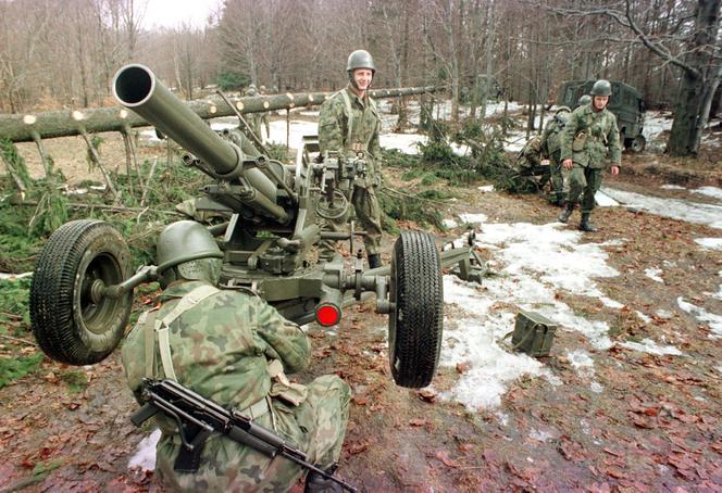 20 lat Polski w NATO. Tak się zmieniła armia