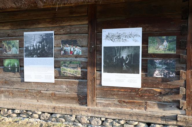 Noc św. Jana 2024 w Muzeum Wsi Lubelskiej