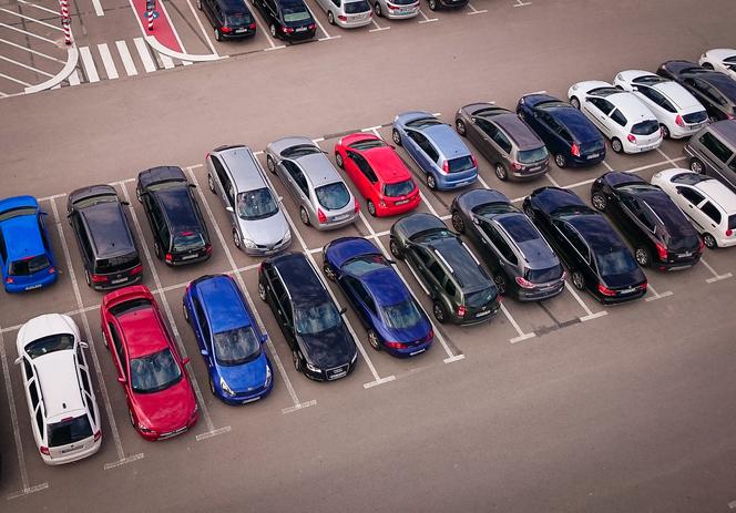 Nad Jeziorem Tarnobrzeskim wybudują ponad 1,5 tysiąca miejsc parkingowych