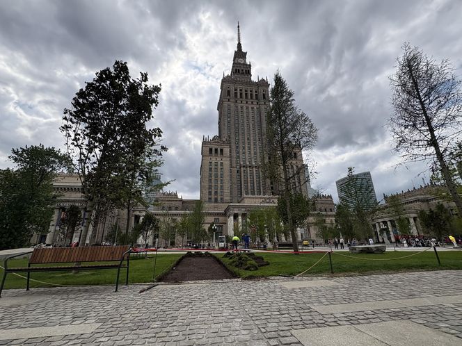 Absurd roku w Warszawie. Zrywają zieleń na nowym pl. Centralnym. Zamiast niej będzie beton