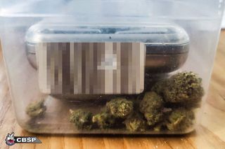 Pseudokibice za kratami. Wielka akcja policji, ponad 20 osób zatrzymanych