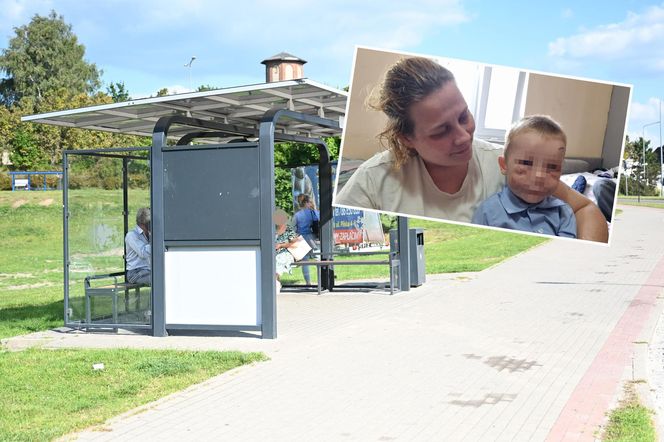 Pies pogryzł 3-latka na przystanku