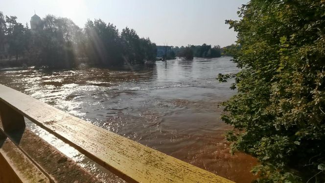 PILNA ewakuacja w Żaganiu. Dramatyczny apel. "20 cm do przelania wałów"