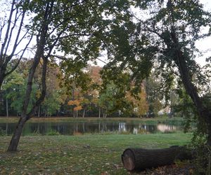 Park Lubomirskich w Białymstoku jesienią 