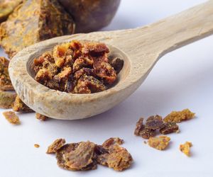 Propolis (kit pszczeli) - właściwości, zastosowanie, cena. Przepis na nalewkę 