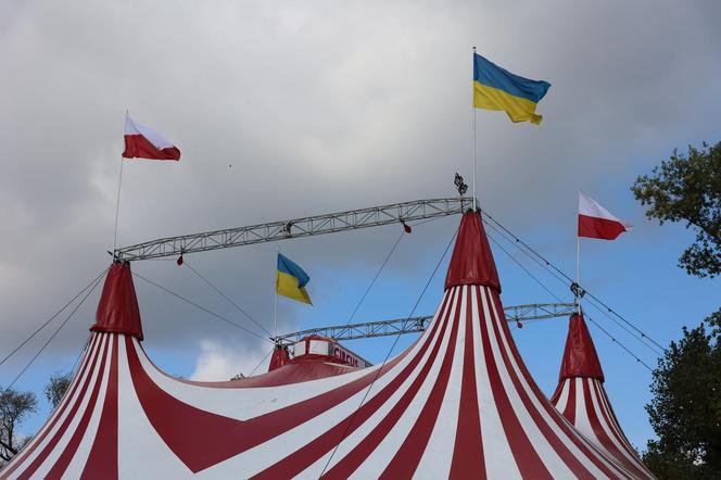 „Waterland”, czyli cyrk na wodzie w Lublinie. Na Błoniach pod Zamkiem rozłożono namiot cyrkowy