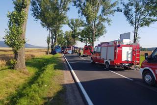 Śmiertelny wypadek na DK 33 w miejscowości Wilkanów