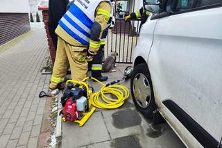 Dramat bezbronnego kundelka! Potrzebna była pomoc fachowców!