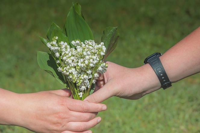 Poznań: Niecodzienna akcja aktorów! Można ich zamówić w prezencie na dzień matki!