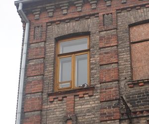 Opuszczona zabytkowa kamienica przy ul. Sienkiewicza w Białymstoku