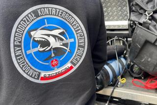 Poszukiwania rzeźby Czaple nad jeziorem Rusałka