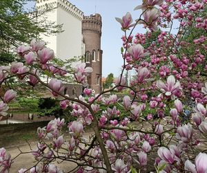 Arboretum Kórnickie. Aż 3000 roślin w jednym miejscu!