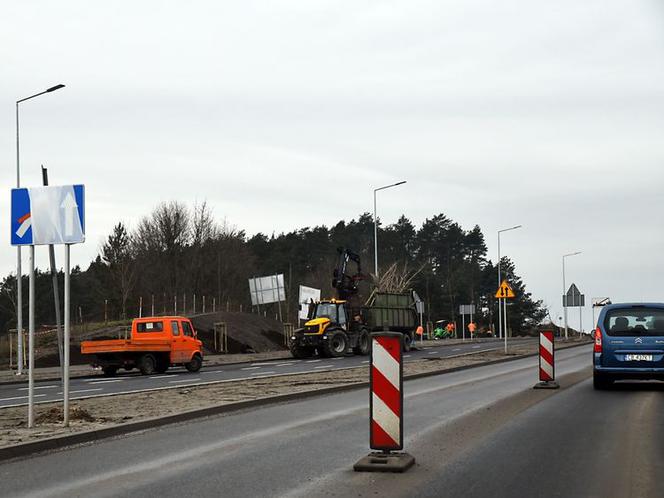 Rozbudowa ul. Grunwaldzkiej. Będą nowe drzewa i krzewy