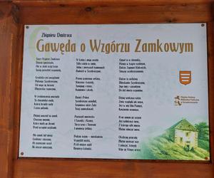 Otwarcie wieży widokowej w Szczebrzeszynie