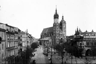 Posadzą więcej drzew na Rynku Głównym w Krakowie - zdjęcia. Kiedyś było ich niemal dwa razy więcej!