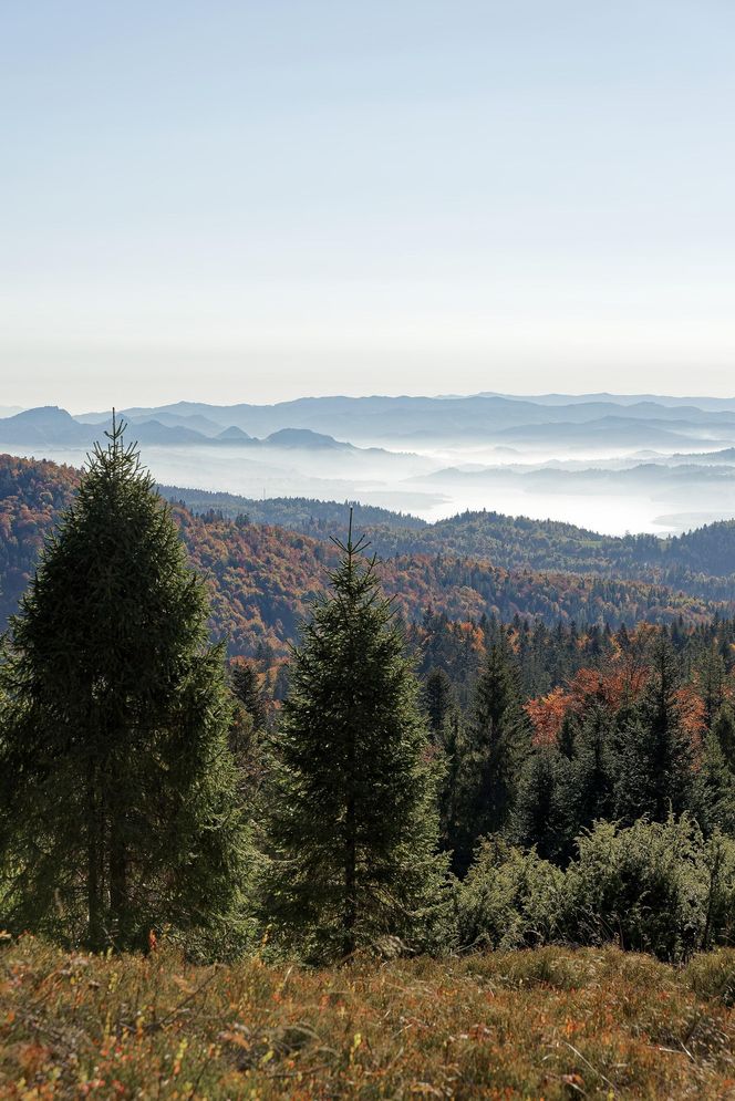 To miejsce w Małopolsce najpiękniej wygląda późną jesienią według AI. Ma status kultowego