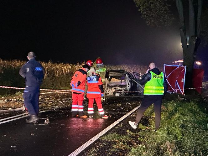 Volvo wbiło się w drzewo i stanęło w płomieniach. Kierowca spłonął żywcem! 