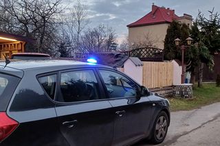 Agresywny pies zastrzelony. Policja znalazła właścicielkę