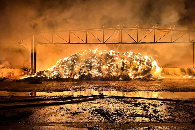 Pożar sortowni odpadów w Promniku