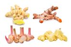 Galangal