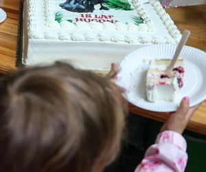 Hugo z ZOO baluje! Hipopotam z Warszawy ma 18 lat i dowód osobisty