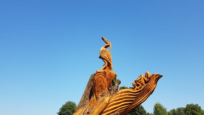 Park Kępa Potocka z nowymi rzeźbami