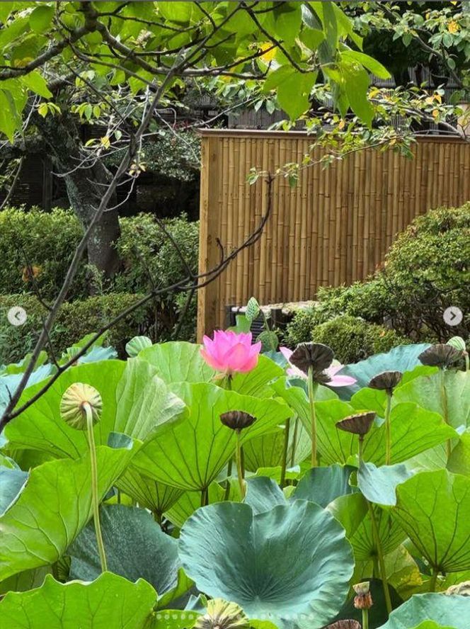 Beata Ścibakówna w Japonii