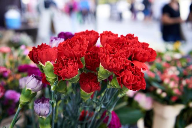 Znaczenie i symbolika kwiatów - jakie kwiaty wybrać na Dzień Kobiet