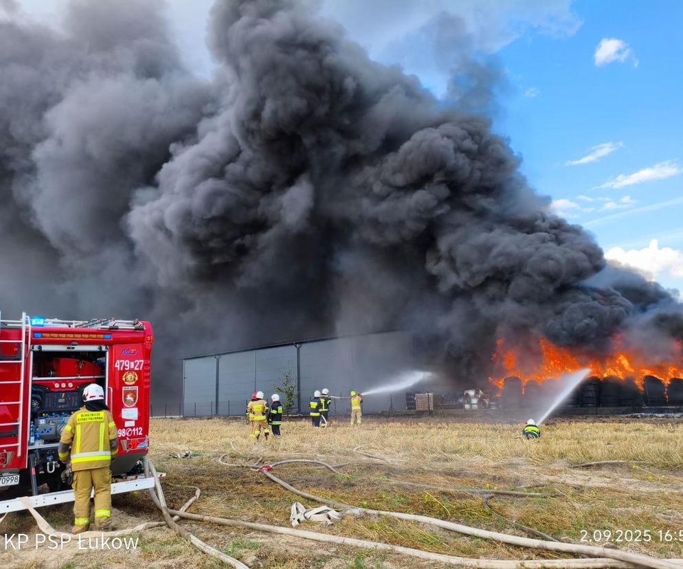 Pożar w bazie firmy transportowej w gm. Łuków