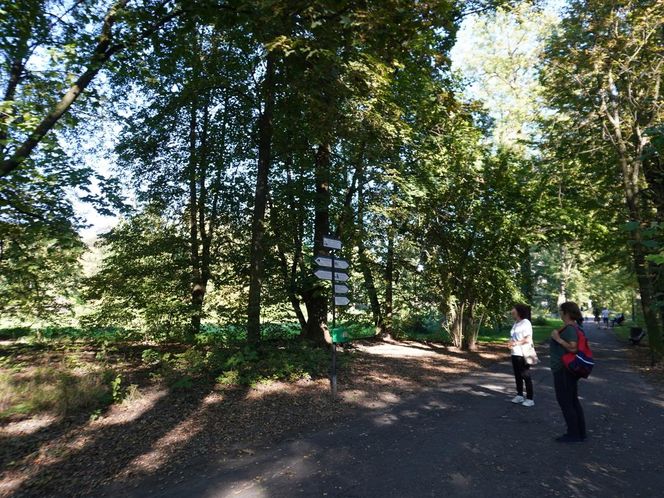 tłumy spokojnie spacerujących spacerowiczów w Pszczynie ZDJĘCIA