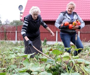 Rolnicy. Podlasie. Gospodarstwo Emilii Korolczuk z Laszek