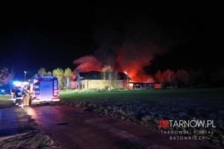 Seria pożarów w regionie tarnowskim 