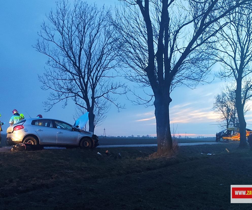 Poważny wypadek drogowy w Gustawowie. Auto roztrzaskało się na drzewie