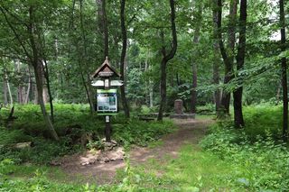 Góra Chełmowa w gminie Nowa Słupia