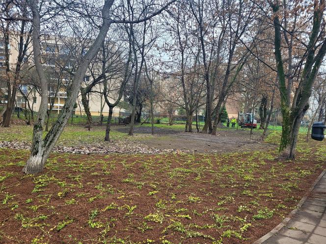 W mieście będzie jeszcze bardziej zielono. Trwają prace w krakowskich parkach