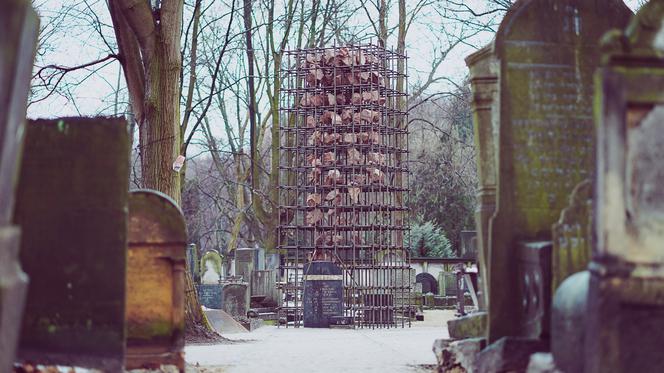 Niezwykła instalacja na cmentarzu żydowskim w Warszawie