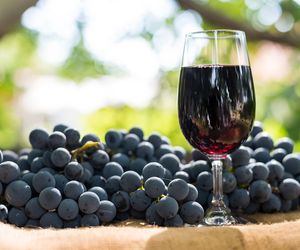 Wino z ogrodowych winogron – łatwy przepis dla początkujących winiarzy