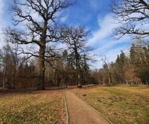 Puszcza Białowieska to idealny pomysł na odwiedziny jesienią