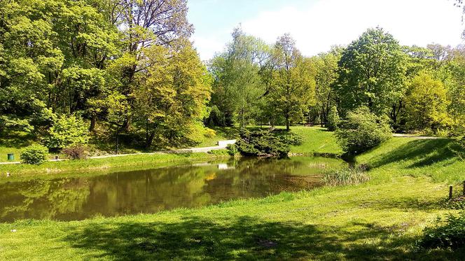 Park Śląski