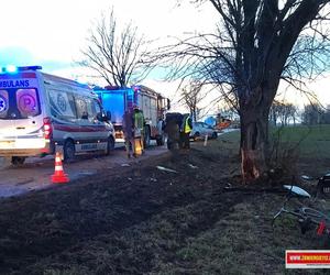 Poważny wypadek drogowy w Gustawowie. Auto roztrzaskało się na drzewie