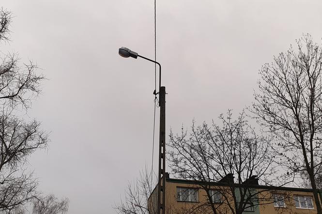 Lampy do wymiany w Sosnowcu