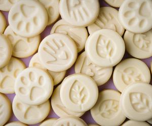 Świętujemy 15 lat LUSH Charity Pot