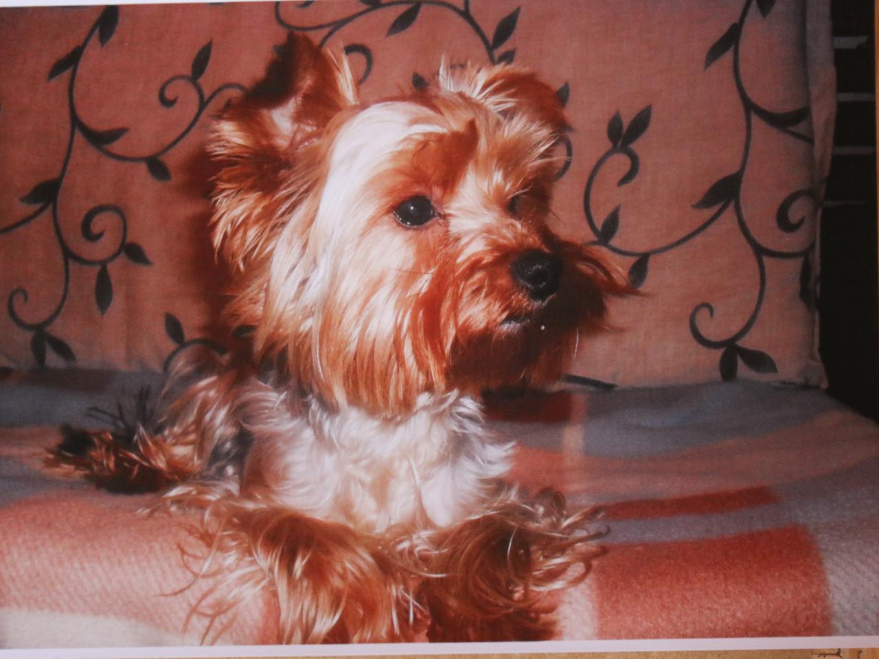 Oprawca porwał mi Zuzię