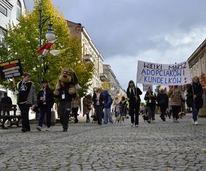 Wielki marsz adopciaków w Radomiu