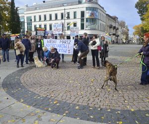 Wielki marsz adopciaków w Radomiu