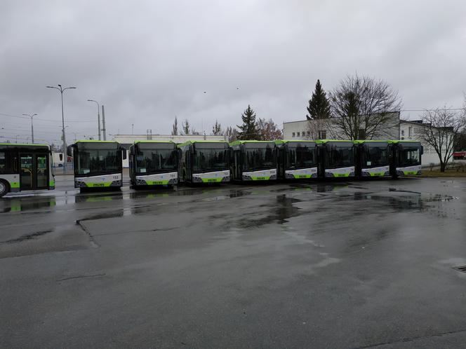 Nowe autobusy w Olsztynie.