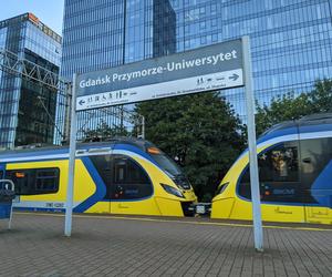 Darmowa komunikacja miejska w Trójmieście! Kiedy?