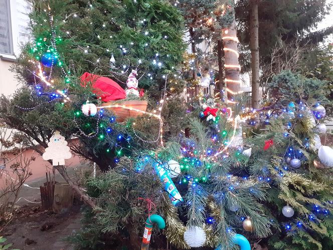 Świąteczna iluminacja bloku przy Niesiołowskiego 24 w Toruniu to już tradycja